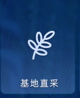 基地自采