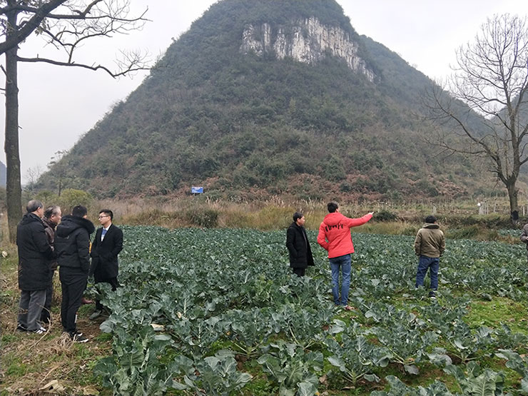 中国·拉斯维加斯(3499·官方认证)网站-Officialwebsite