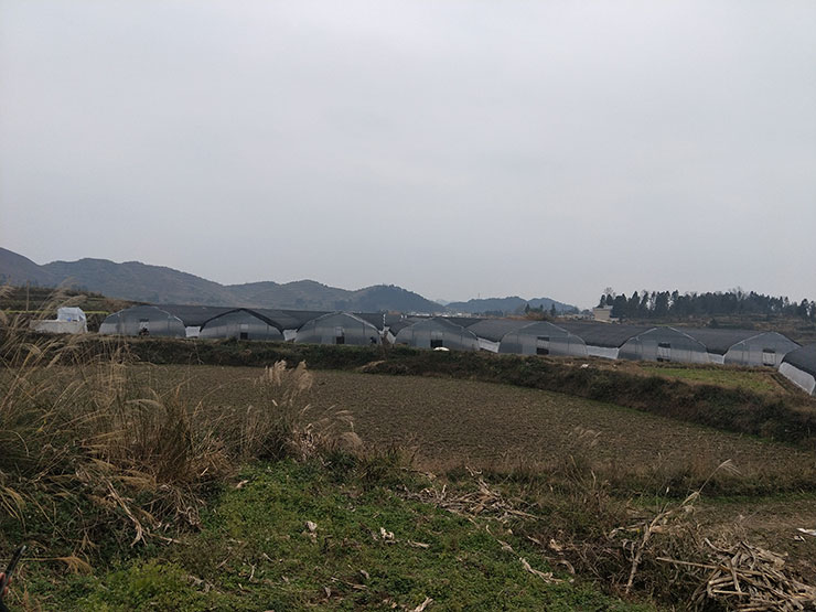 中国·拉斯维加斯(3499·官方认证)网站-Officialwebsite