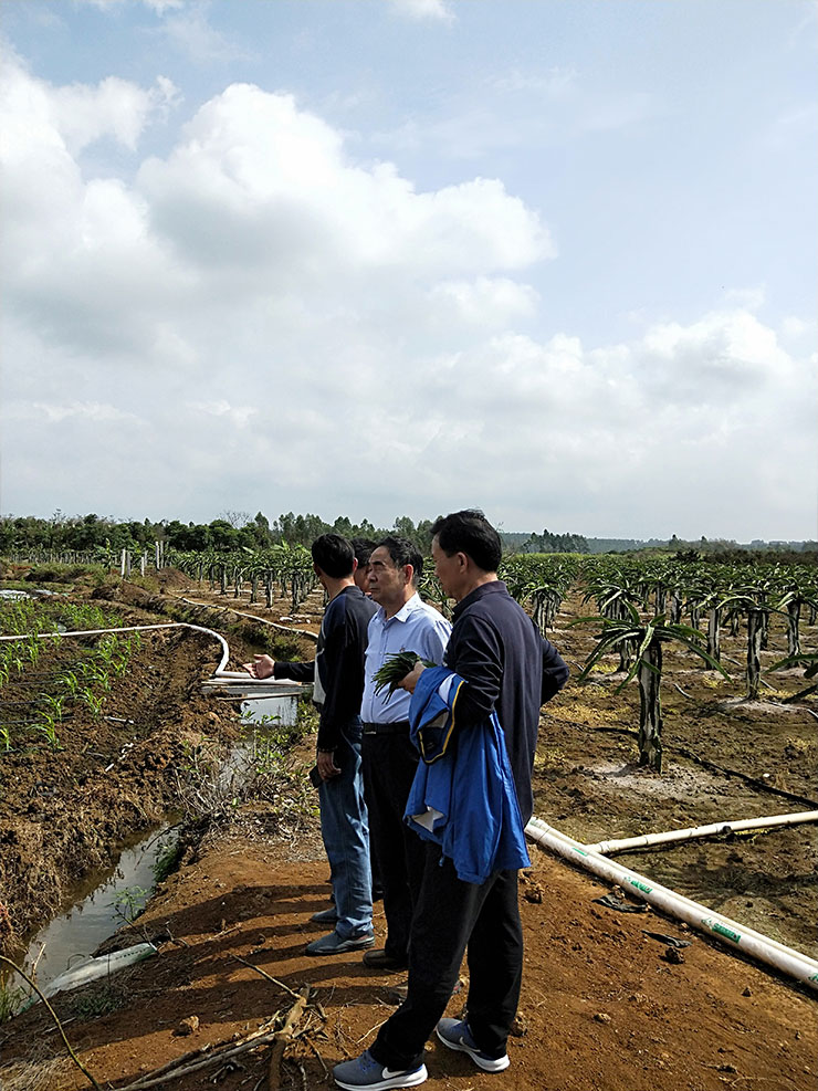 中国·拉斯维加斯(3499·官方认证)网站-Officialwebsite