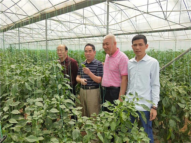 中国·拉斯维加斯(3499·官方认证)网站-Officialwebsite