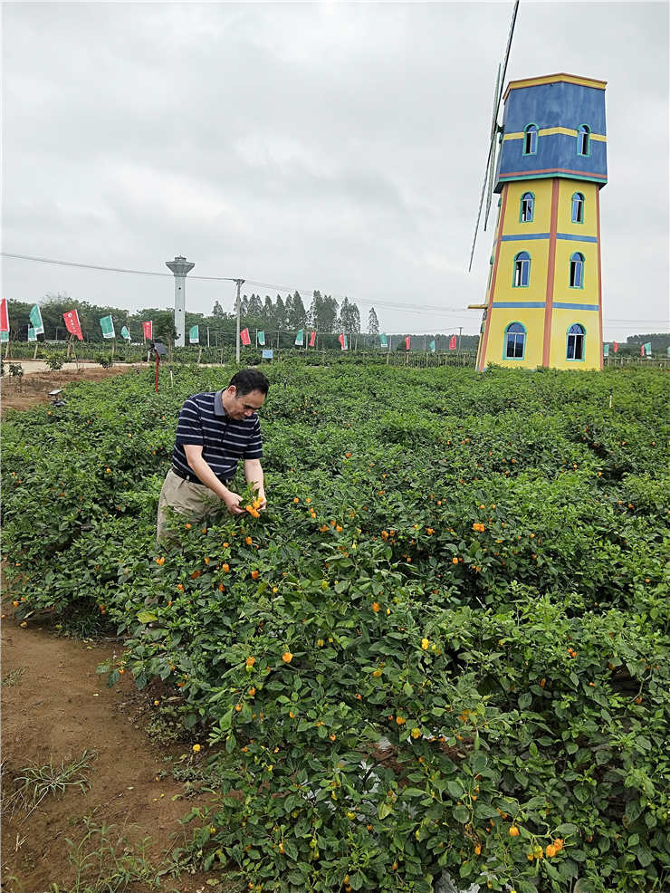 中国·拉斯维加斯(3499·官方认证)网站-Officialwebsite
