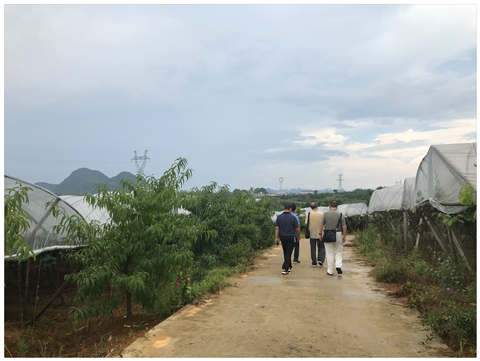 中国·拉斯维加斯(3499·官方认证)网站-Officialwebsite