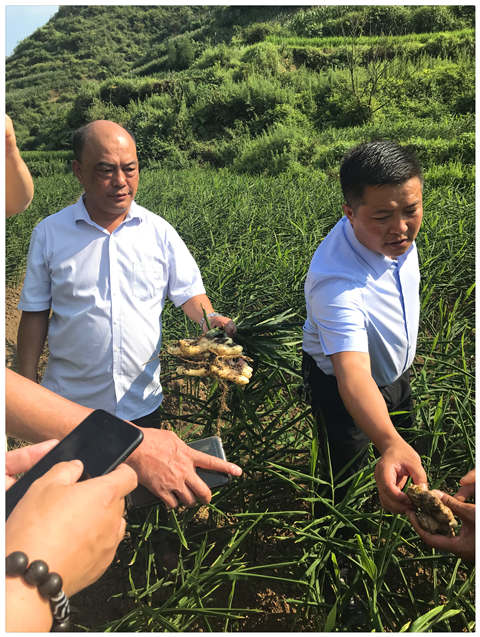 中国·拉斯维加斯(3499·官方认证)网站-Officialwebsite