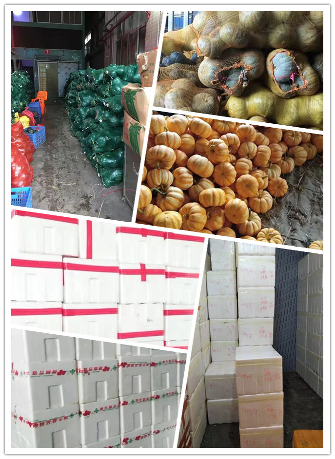 中国·拉斯维加斯(3499·官方认证)网站-Officialwebsite