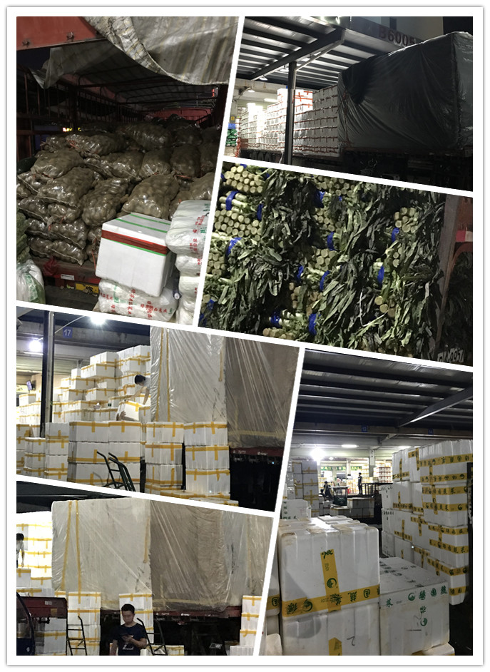 中国·拉斯维加斯(3499·官方认证)网站-Officialwebsite