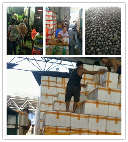 中国·拉斯维加斯(3499·官方认证)网站-Officialwebsite