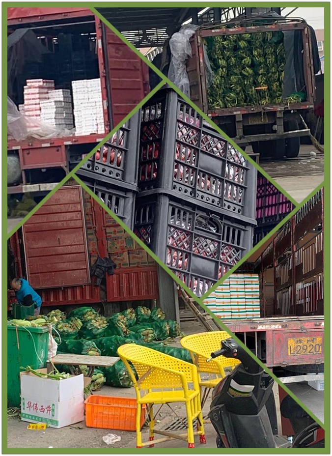 中国·拉斯维加斯(3499·官方认证)网站-Officialwebsite