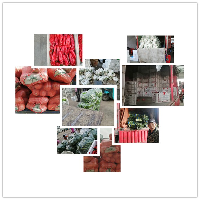 中国·拉斯维加斯(3499·官方认证)网站-Officialwebsite