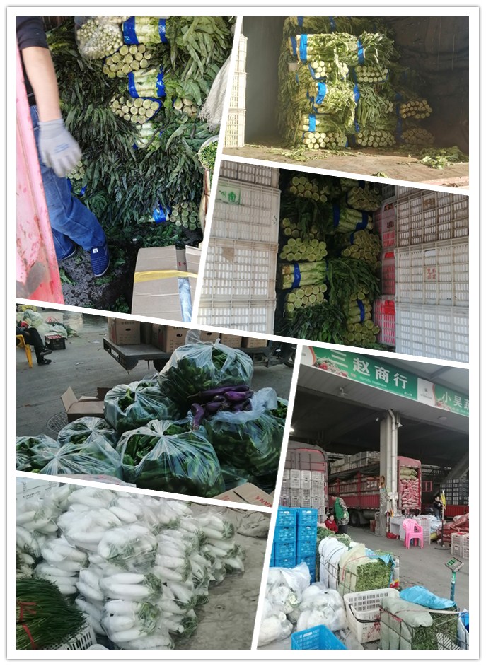 中国·拉斯维加斯(3499·官方认证)网站-Officialwebsite