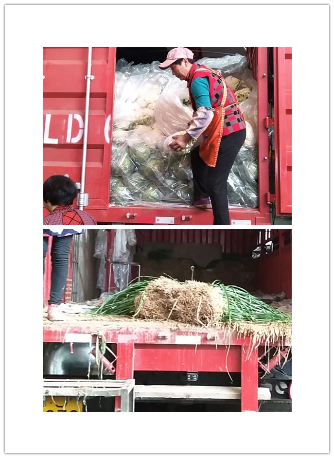 中国·拉斯维加斯(3499·官方认证)网站-Officialwebsite