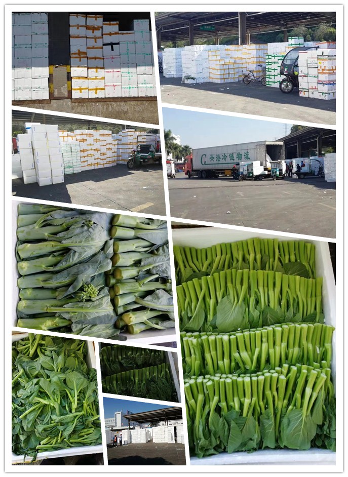 中国·拉斯维加斯(3499·官方认证)网站-Officialwebsite