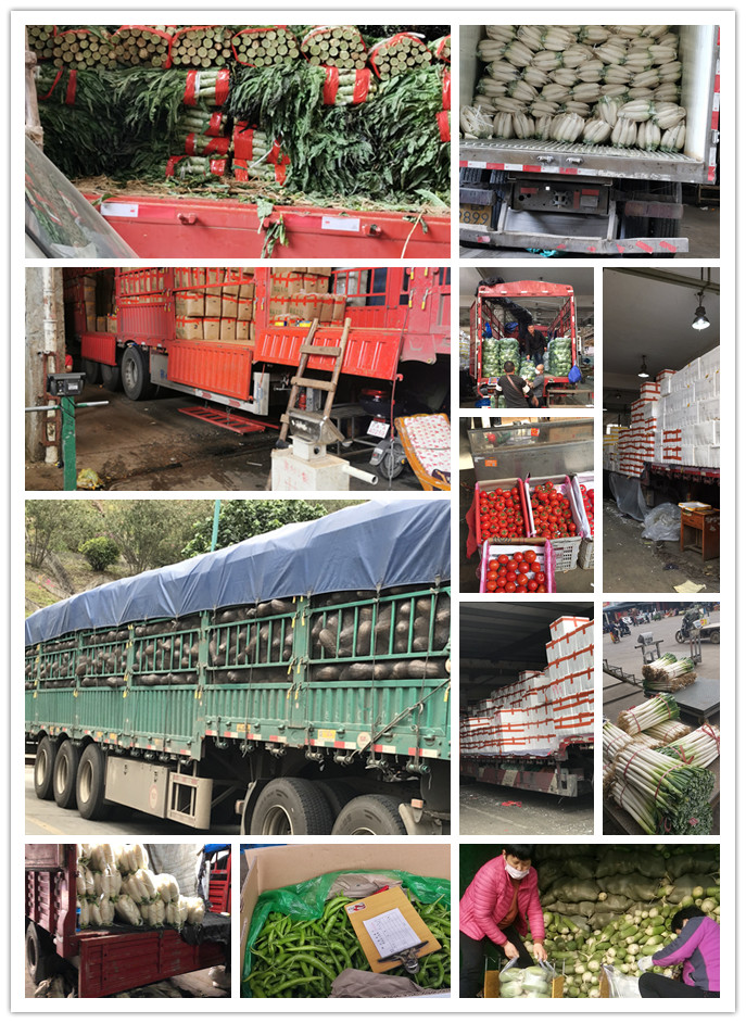 中国·拉斯维加斯(3499·官方认证)网站-Officialwebsite