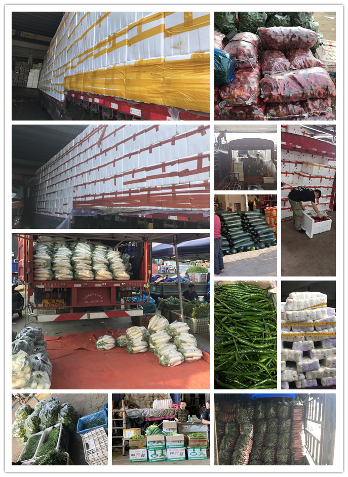 中国·拉斯维加斯(3499·官方认证)网站-Officialwebsite
