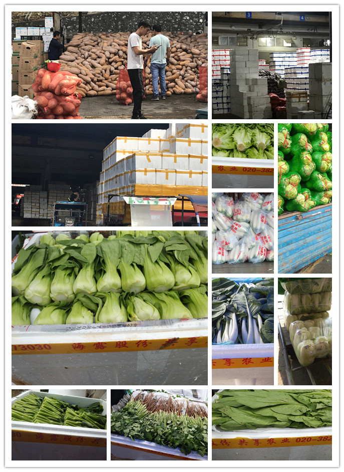 中国·拉斯维加斯(3499·官方认证)网站-Officialwebsite
