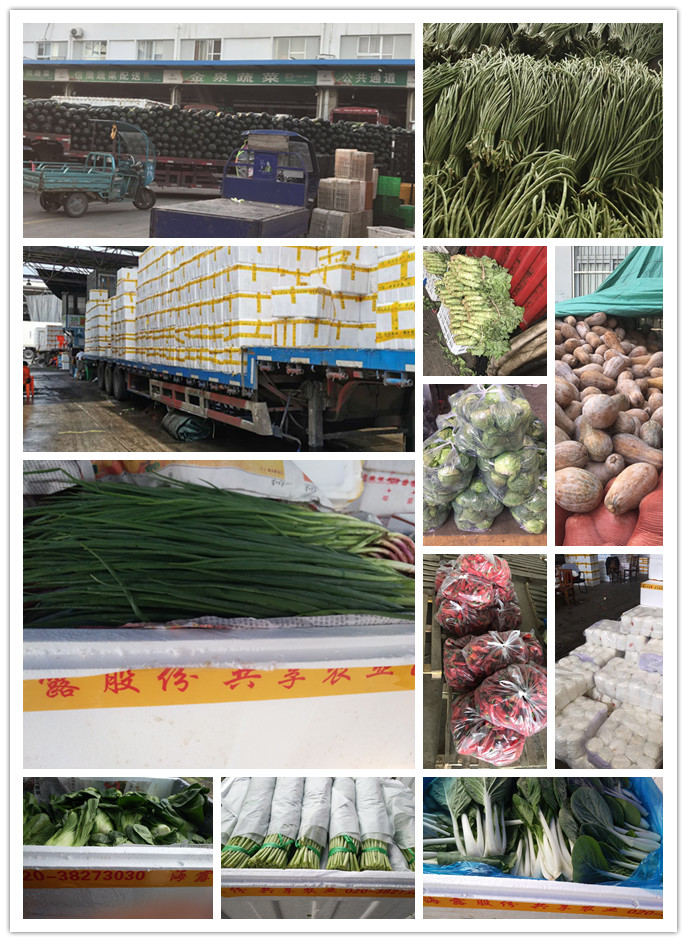 中国·拉斯维加斯(3499·官方认证)网站-Officialwebsite