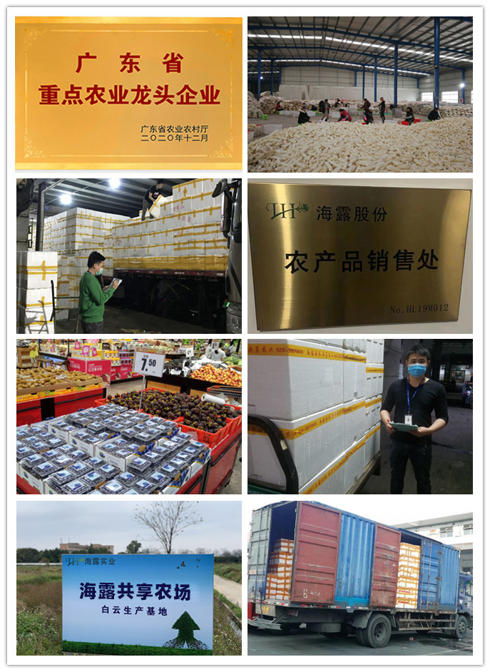 中国·拉斯维加斯(3499·官方认证)网站-Officialwebsite