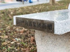 集团党支部落实大花园经济联社“民生微项目”，提升居民群众幸福感