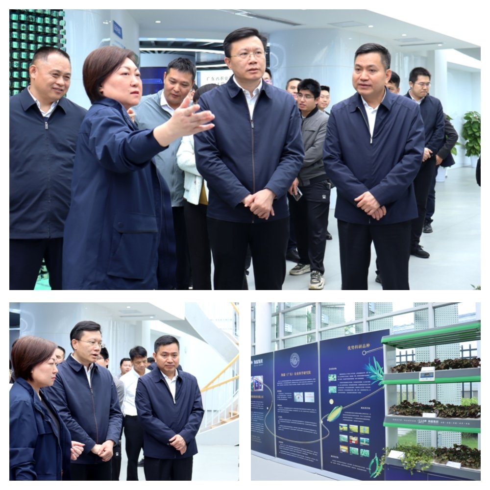 1-231115105221250 中国·拉斯维加斯(3499·官方认证)网站-Officialwebsite
