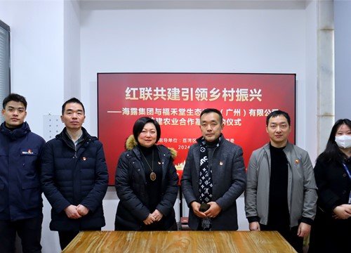 红联共建引领乡村振兴，党建促业务深度融合