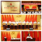 集团党支部荣获荔湾区产业链非公企业“头雁”党组织称号