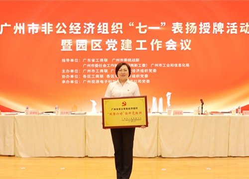 标杆引领，荣誉升级！集团党支部荣膺广州市非公有制经济组织“双强六好”标