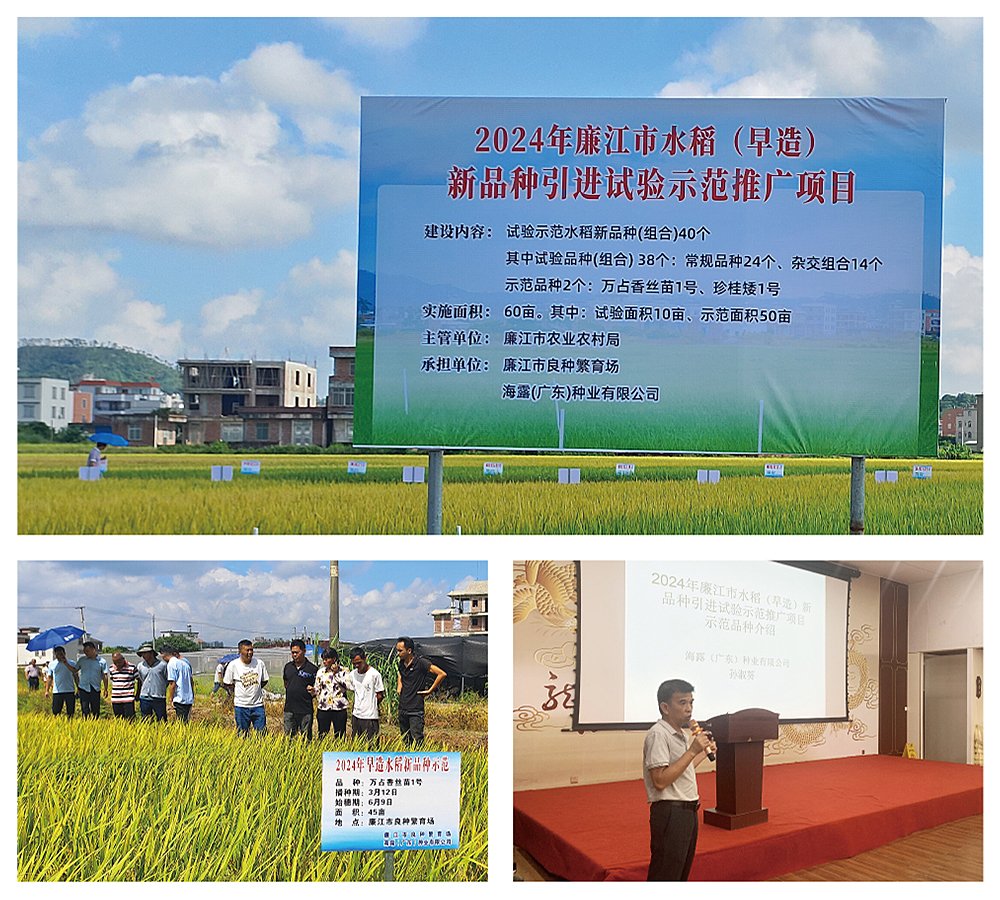 1-240FP92223126 中国·拉斯维加斯(3499·官方认证)网站-Officialwebsite
