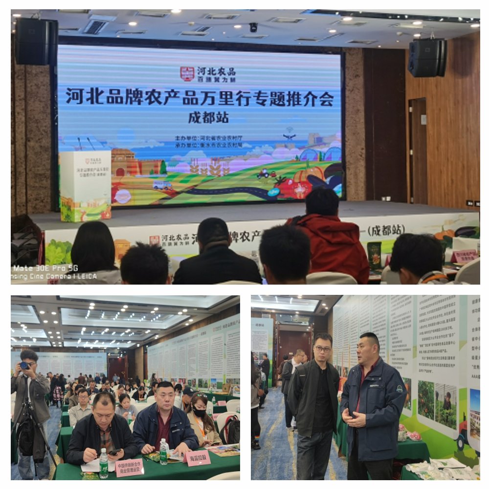 1-24102416292DM 中国·拉斯维加斯(3499·官方认证)网站-Officialwebsite