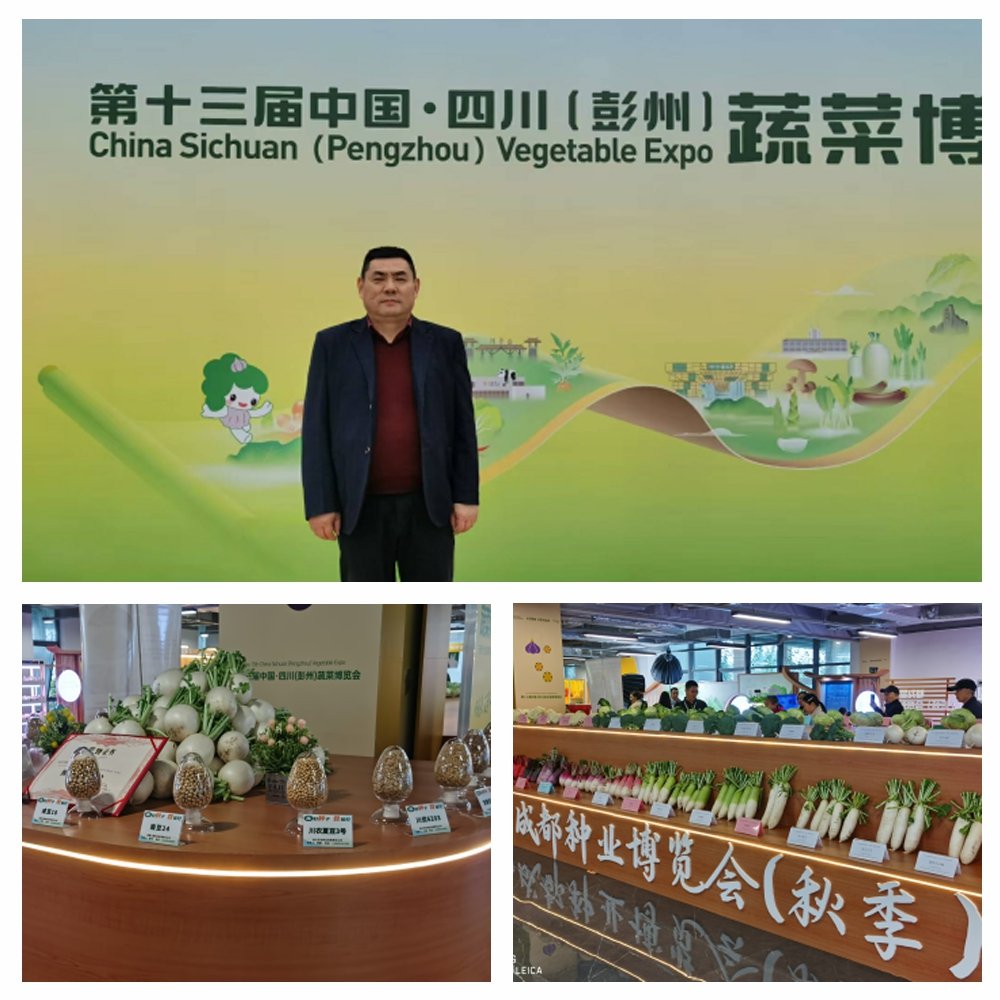 中国·拉斯维加斯(3499·官方认证)网站-Officialwebsite