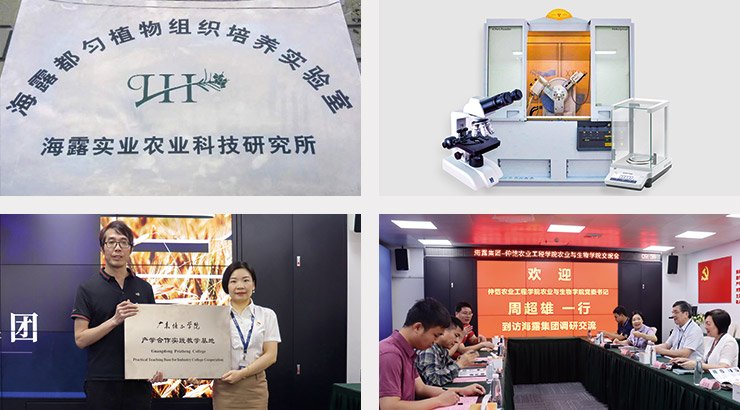 中国·拉斯维加斯(3499·官方认证)网站-Officialwebsite