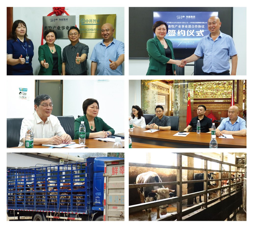 中国·拉斯维加斯(3499·官方认证)网站-Officialwebsite