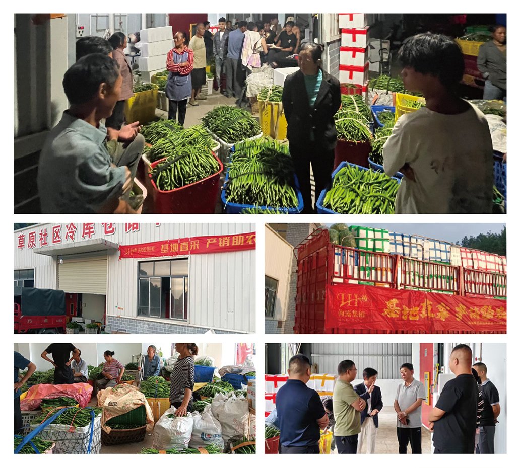 中国·拉斯维加斯(3499·官方认证)网站-Officialwebsite